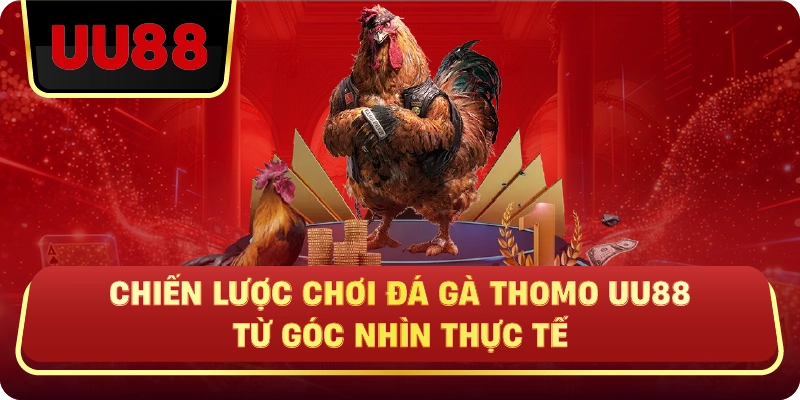 Chiến Lược Chơi Đá Gà Thomo Uu88 Từ Góc Nhìn Thực Tế